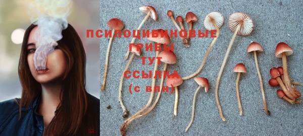 дживик Балабаново